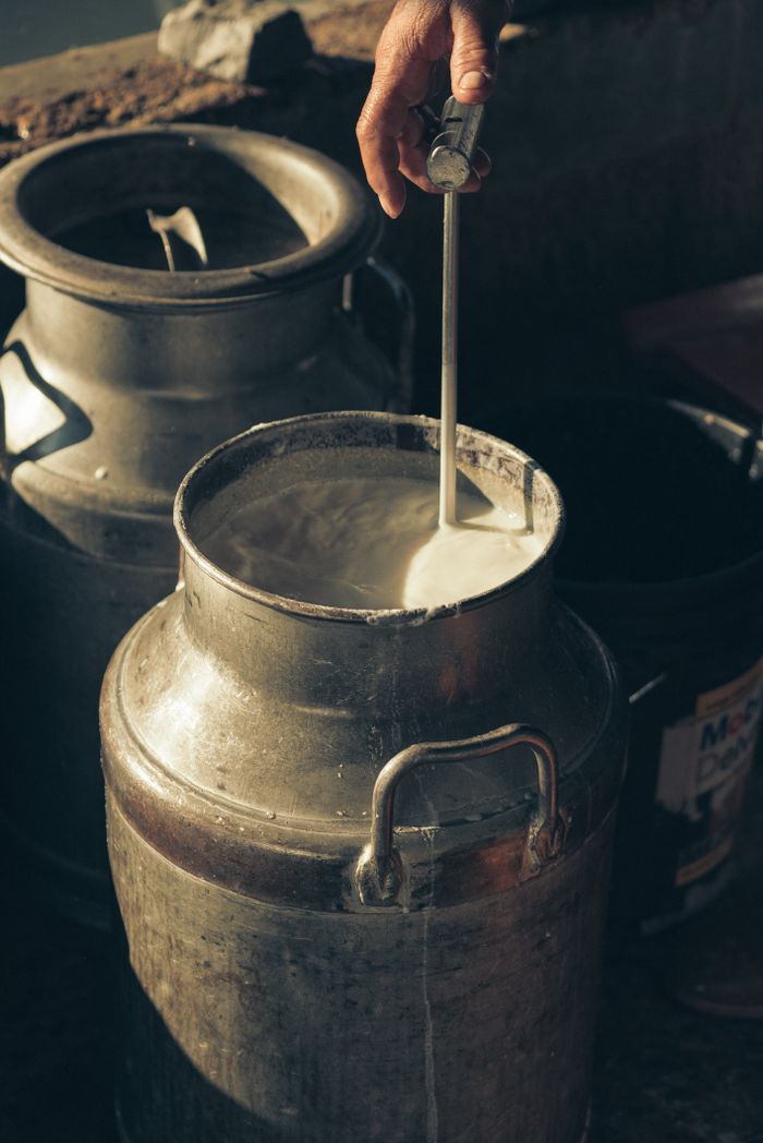 Crafting Captivating Headlines: Your awesome post title goes here Close-up of fresh milk being poured into a stainless steel can in a rustic setting.